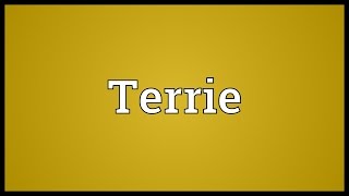 Terrie Meaning