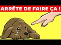 15 Choses Que Tu Dois Arrêter De Faire À Ton Chien