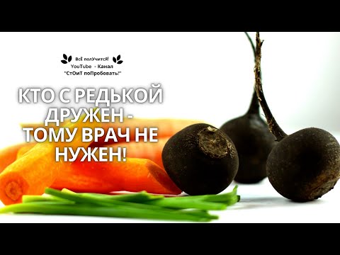 Чёрная РЕДЬКА | Редька польза и противопоказания