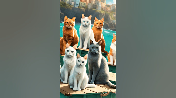 ¡Sorprendente! La Isla Japonesa Donde los Gatos Superan a los Humanos 🐱