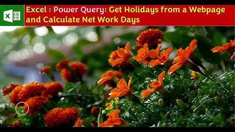 Excel : Power Query: Get Holidays from a Webpage and Calculate Net Work Days