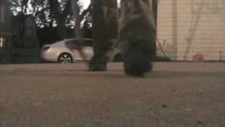 Better kickflip underflip and moving kickflip underflip