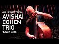 Avishai cohen trio  seven seas live at blue note tokyo  2023