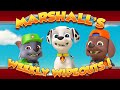 Marshalls weekly wipeouts season 5  pups save a wiggly whale