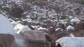 DR Congo Elections: Congolese citizens-in-exile to follow vote from afar