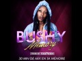 BUSHY "MEMORY" by DJ SNATCH (mix de 30 min en sa mémoire)