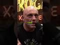 Joe Rogan: We Might Not Be Living in Reality 😳