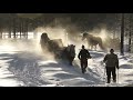 Forbönder, resan från Särna till Idre