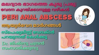 046 | മലദ്വാര ഭാഗത്തെ കുരു/ പരു | peri anal abscess |  ആയുർവേദ ചികിത്സ | ഗൃഹ വൈദ്യം |