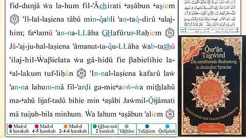 ختمة من مصحف التجويد باللغة الألمانية الصفحة رقم 113