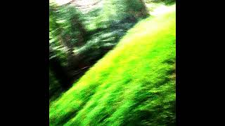 ghost flight - how can i find hope