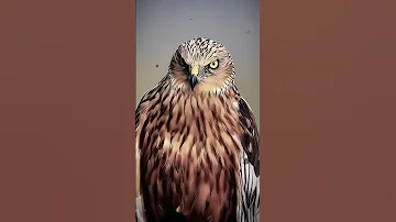 Https Vt Tiktok Com ZSAak4Tqu 