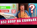 ВЫГОДНО ЛИ ЗАНИМАТЬСЯ СВИНОВОДСТВОМ | Какой расход и доход с одной свиньи. ПОДРОБНО!