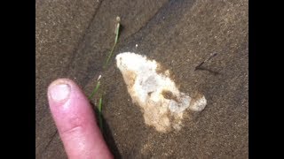 8/4/2017 Ohio Arrowhead Hunting Flint Ridge HOPEWELL KILLER