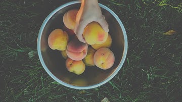 How to Pick peaches 101