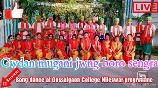 Gwdan mugani jwng boro sengra song dance at Gossaigaon college Nileswar programme