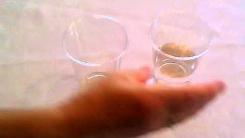 Emulsification Video