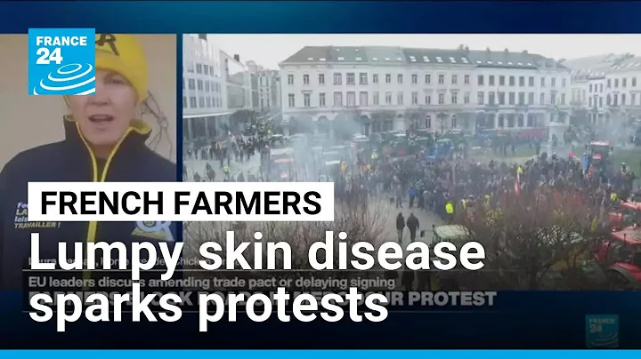 Lumpy skin disease sparks French farmers protests • FRANCE 24 English