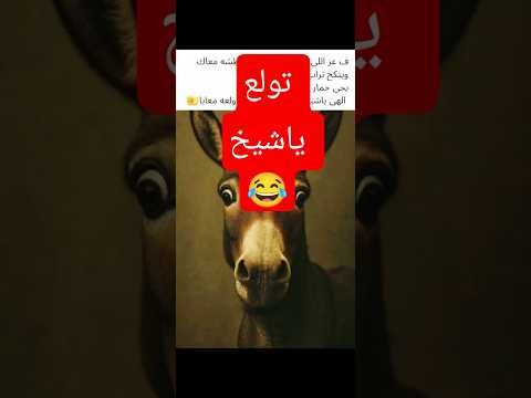 ولعه معاك ياشيخ هههه الحسد العين