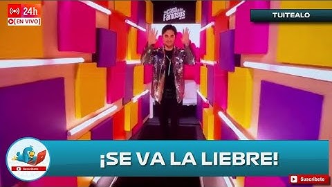 Se va la liebre! Sian Chiong es el octavo eliminado de La Casa de los Famosos México