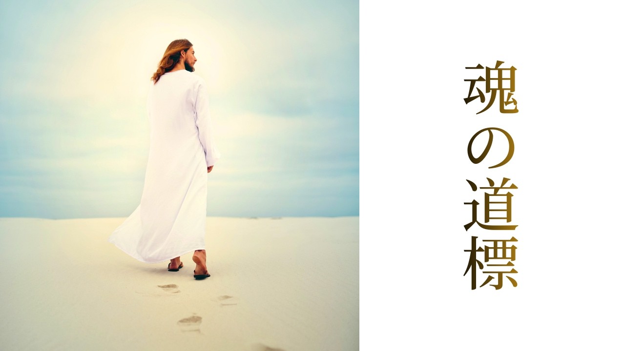 【魂の道標】魂の道は〇〇が示してくれる
