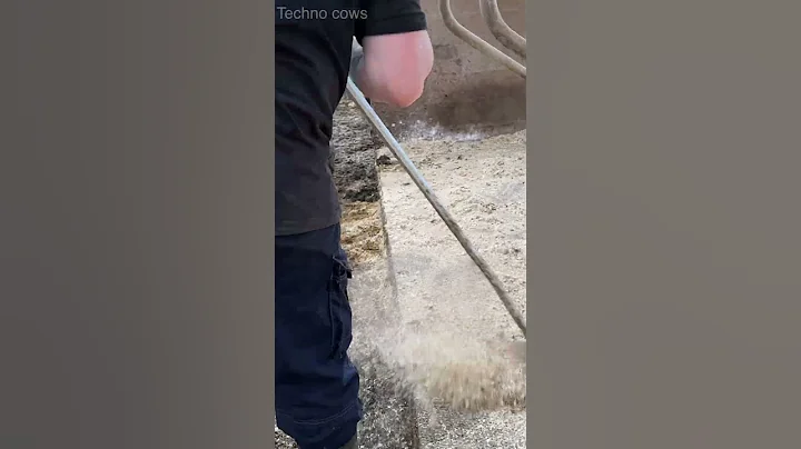 Cleaning The Manure With A Scraper, How It Works? #cattlefarm #cowlife #howitworks #farming #clean