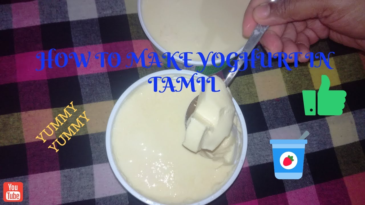 HOW TO MAKE YOGHURT AT HOME IN TAMIL (EASIEST WAY) YouTube