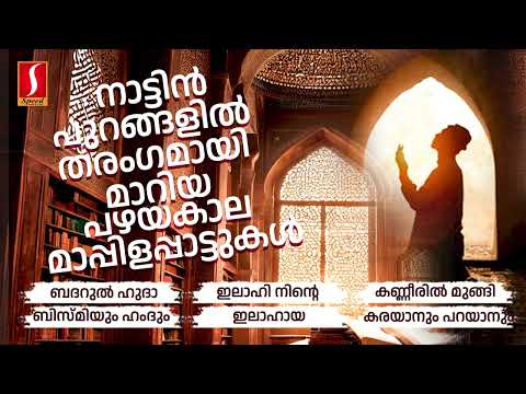 പഴയ ഓർമ്മയിലേക്ക് കൊണ്ട് പോകുന്ന മാപ്പിളപ്പാട്ടുകൾ Superhit Mappilappattukal