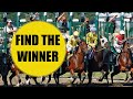 BETFAIR API - FIND HORSES TO BET ON!!! HD - Python Coding