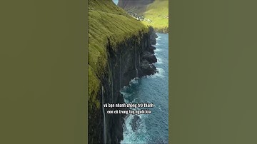 Học cách kiểm soát cảm xúc, không để bản thân trở thành nô lệ của cảm xúc #shots #phattrienbanthan