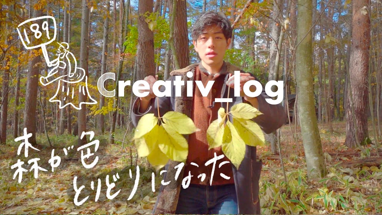 【森のガーデニング】森の樹々も苗木も色彩豊かに紅葉してた　#189