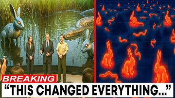 Florida Released 120 Robot Rabbits To Hunt Pythons... What Happened Left Everyone Speechless