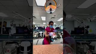 A Day in the Life of a Dental Student | Sim Lab Edition