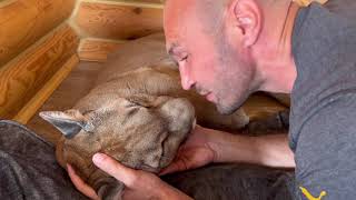 Poor Messi Didnt Sleep All Night.. And Thats The Only Thing That Changes His Mood And His Sleep.