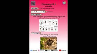 ✨Etymology12:Arachnida✨#dek71#ALevel#ชีววิทยา#Biology #BioLinks Academy