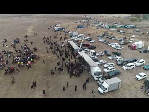 Байзак ауданы  Берик мырзанын той кокпары 23 10 2022