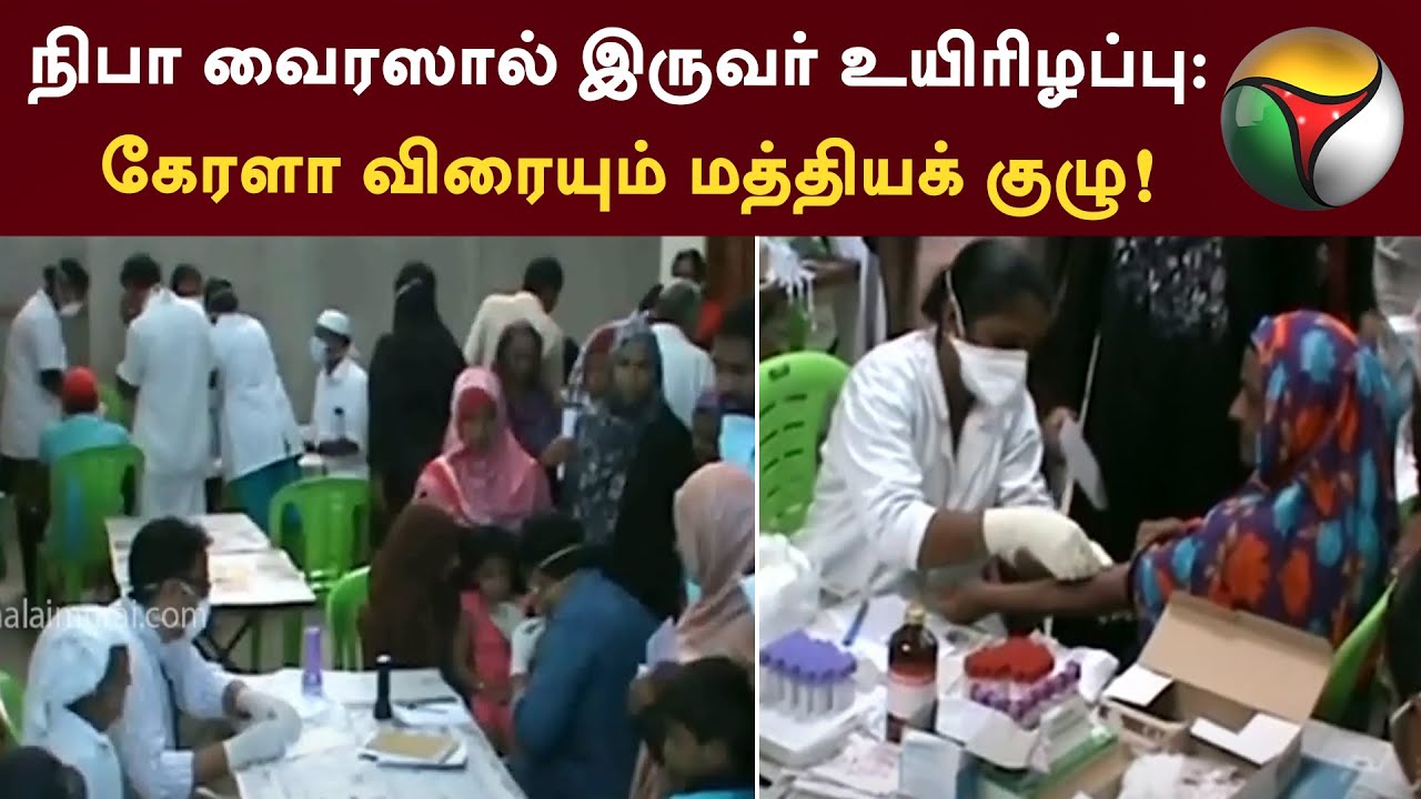 நிபா வைரஸால் இருவர் உயிரிழப்பு: கேரளா விரையும் மத்தியக் குழு | Nipah Virus | Kerala | PTT