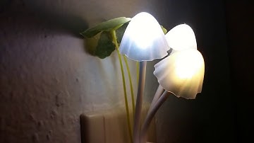 LED Color Changing Mushroom Night Light