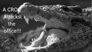 Crocodile attacks Man in an office