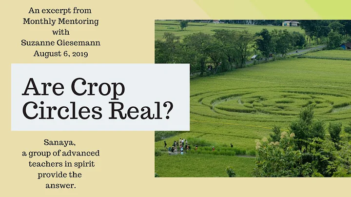 Crop Circles