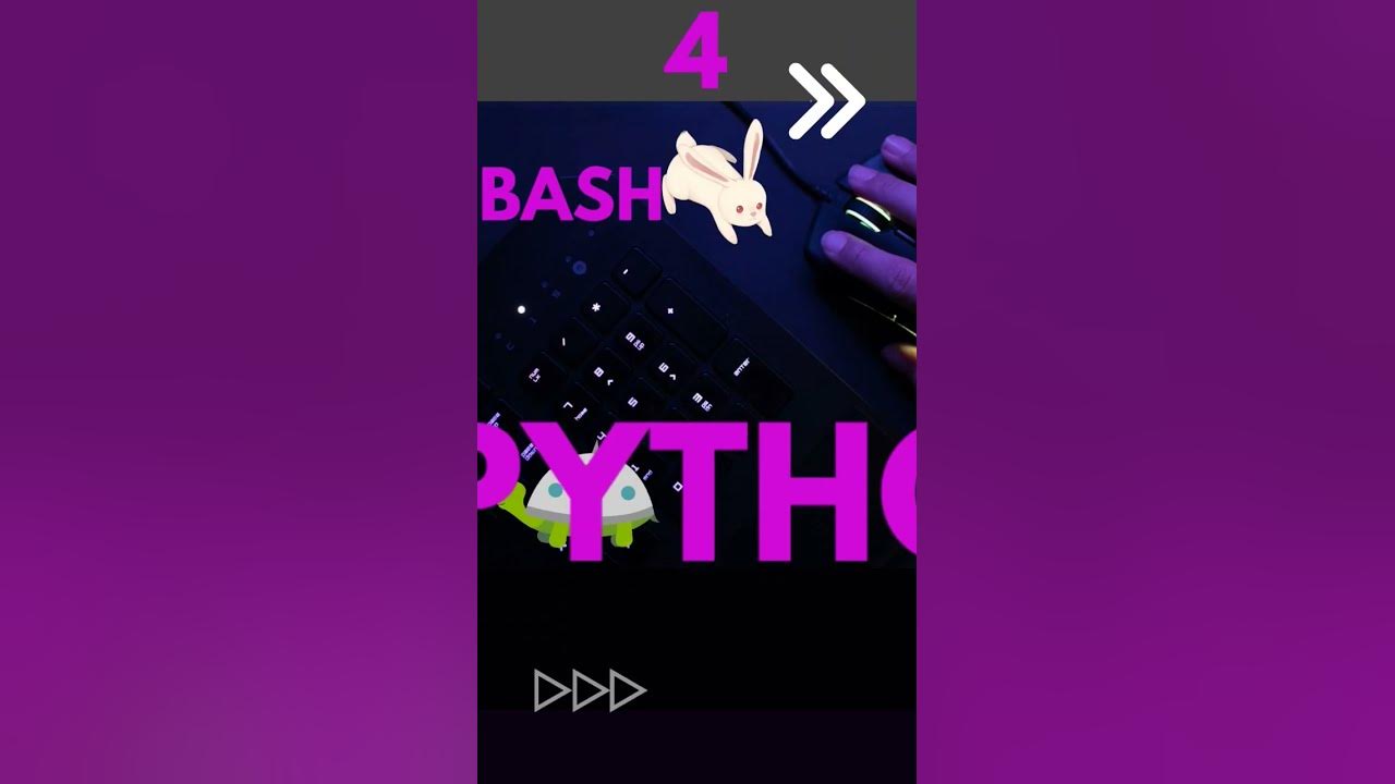 Python vs Bash for Beginners.. in 1 min - YouTube