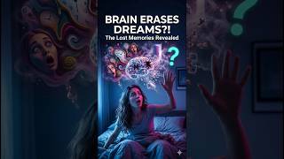 😳 Why Does Your Brain DELETE Dreams? #commentary #shortsfeed #facts