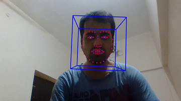 Headpose, facial landmark and eye gaze detection