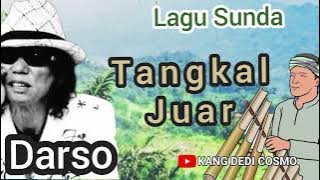 TANGKAL JUAR -  DARSO #calungsunda #calungdarso @Kangdedicosmo