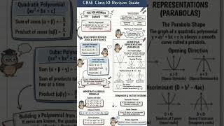 mind map on math class -10 polynomial