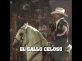 El Gallo Celoso - JOAN SEBASTIAN (En vivo)
