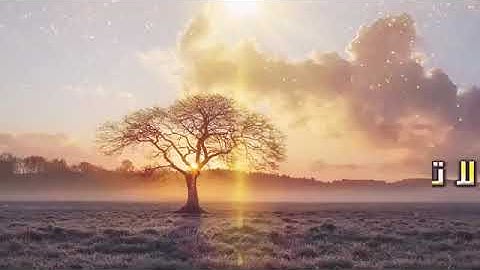 تلاوة مسائي سورة الفجر بصوت القارئ محمد مطار