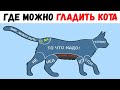 Лютые приколы. ГДЕ МОЖНО ГЛАДИТЬ КОТА. угарные мемы