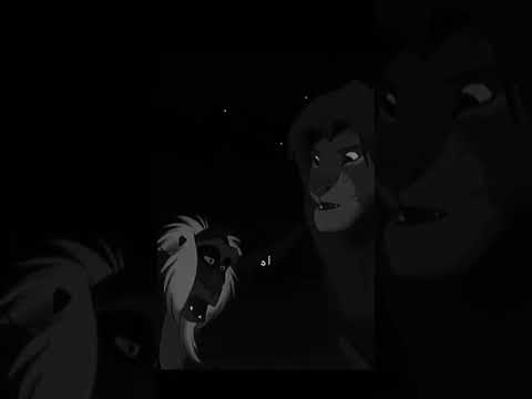 حكم وأقوال في الكرتون Wisdom Wisd