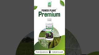 Green Planet Premium